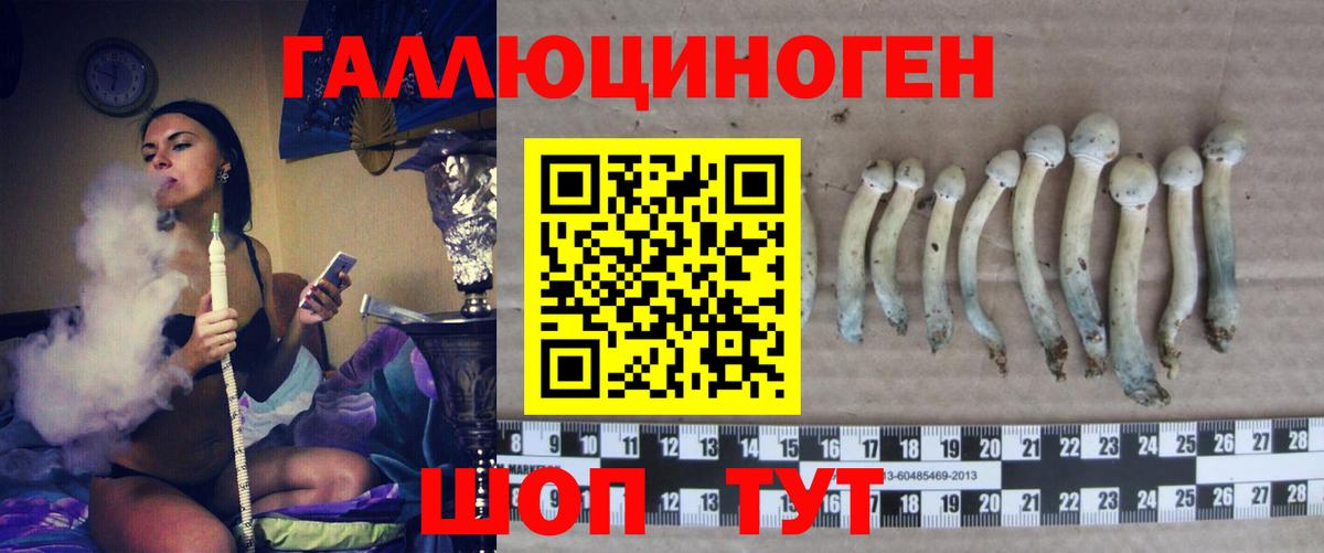 МДМА Холмск
