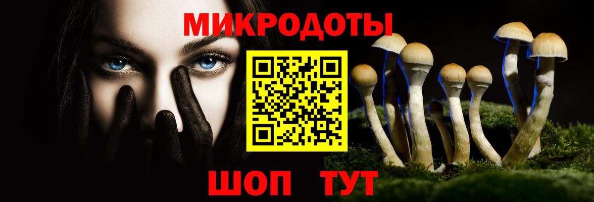 Холмск  Псилоцибиновые грибы Psilocybine cubensis  Вход с VPN 